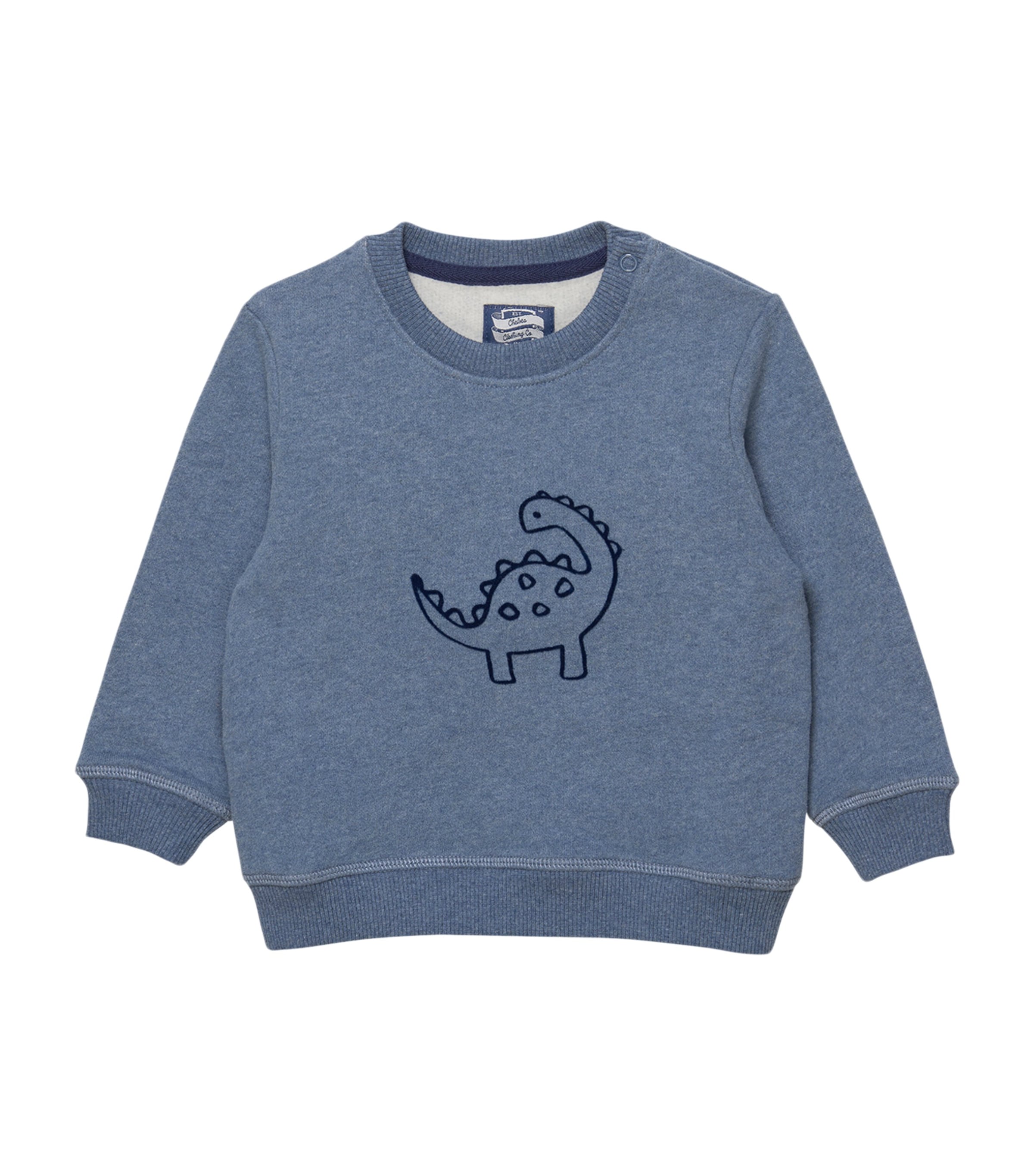 Cotton Dinosaur Sweatshirt (3-24 Months)