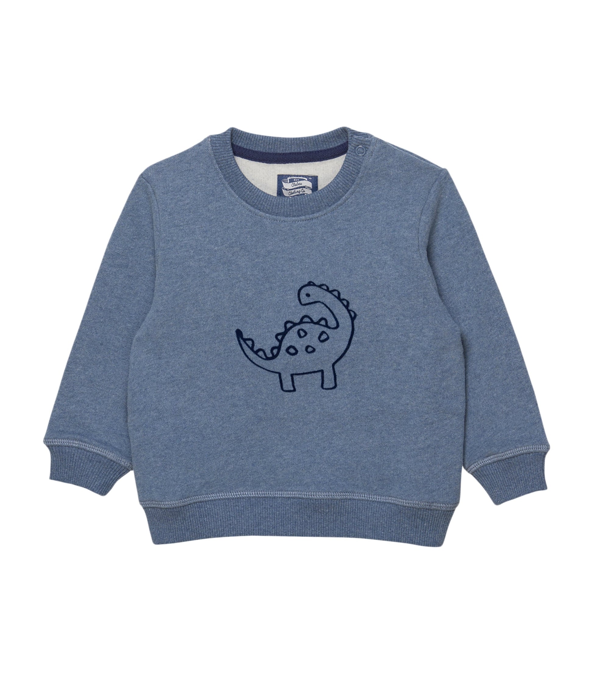 Cotton Dinosaur Sweatshirt (3-24 Months)