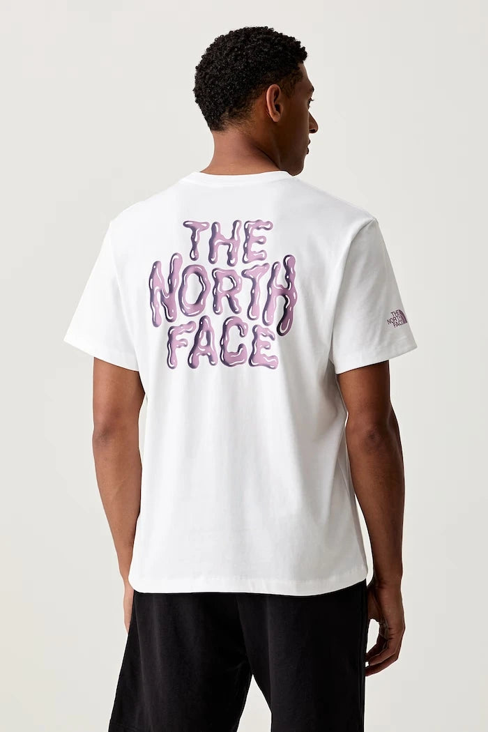 The North Face erkek pamuklu tişört DRIP LOGO