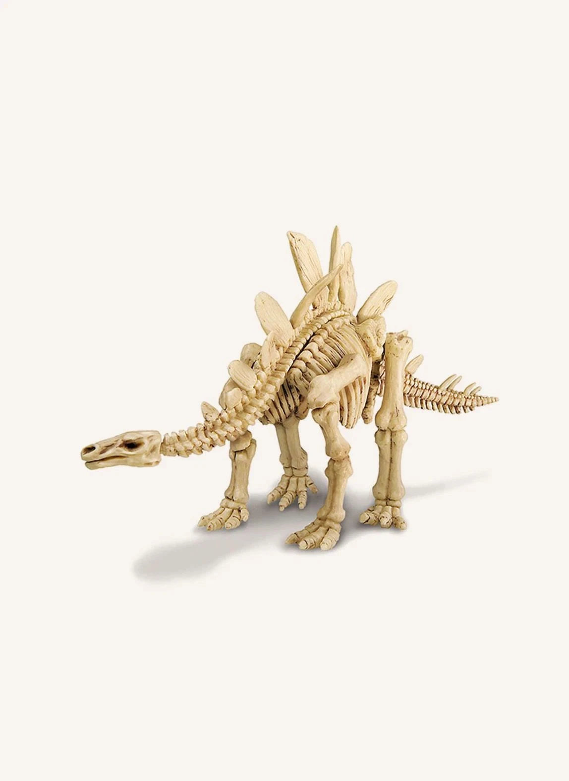 4M - Dig A Stegosaurus Kit