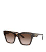 Brown Tortoiseshell Wayfarer Sunglasses