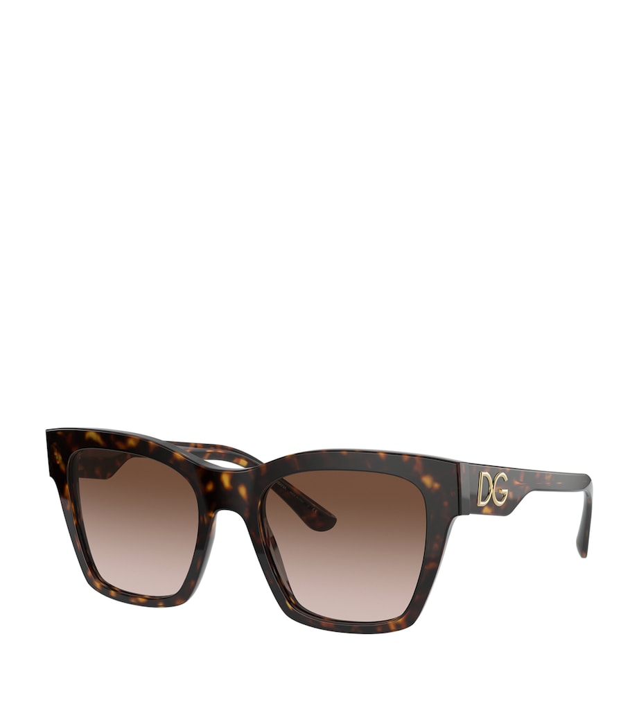 Brown Tortoiseshell Wayfarer Sunglasses