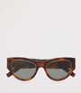 Saint Laurent Brown Acetate SL M94 Rim Cat Eye Sunglasses