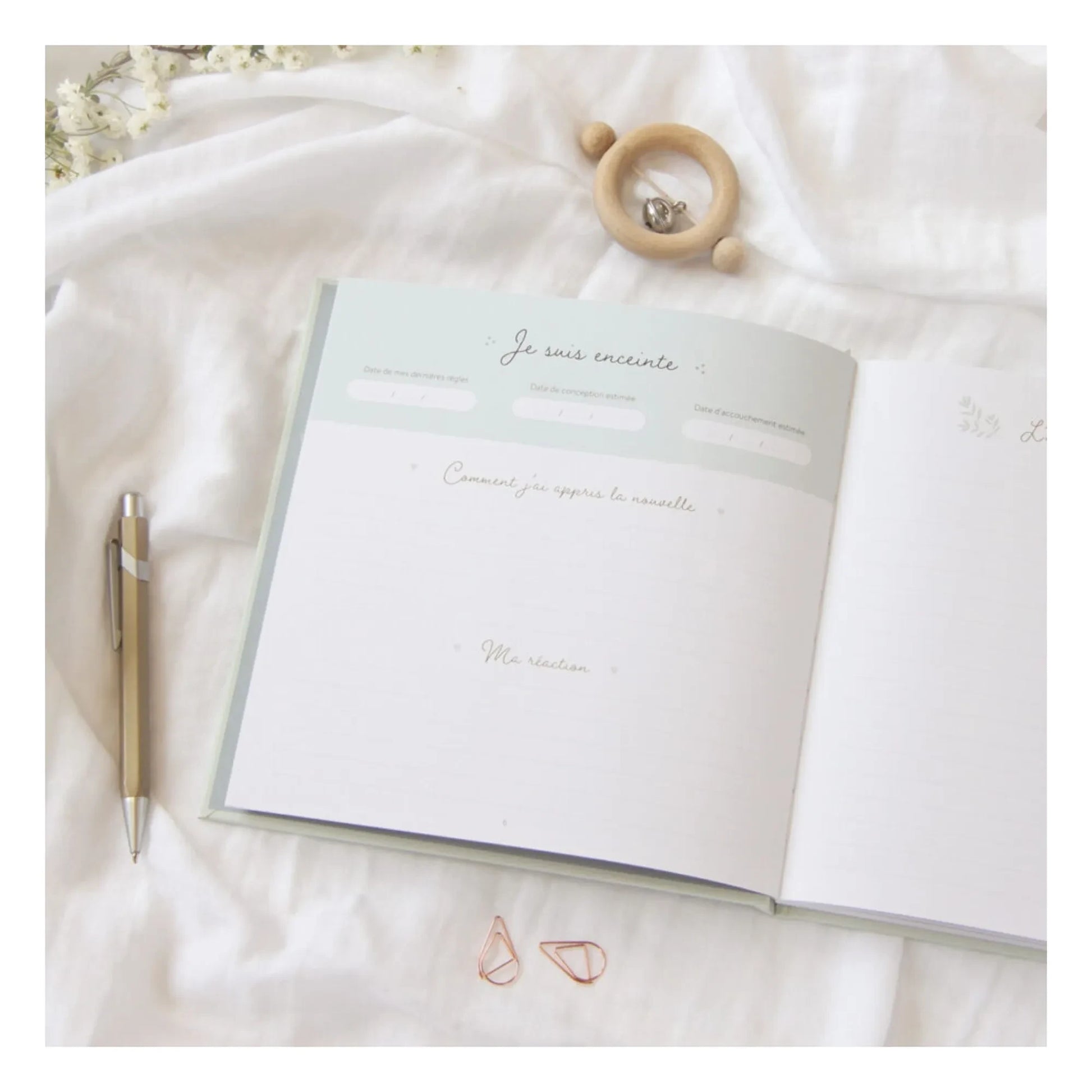 Zü - Pregnancy diary
