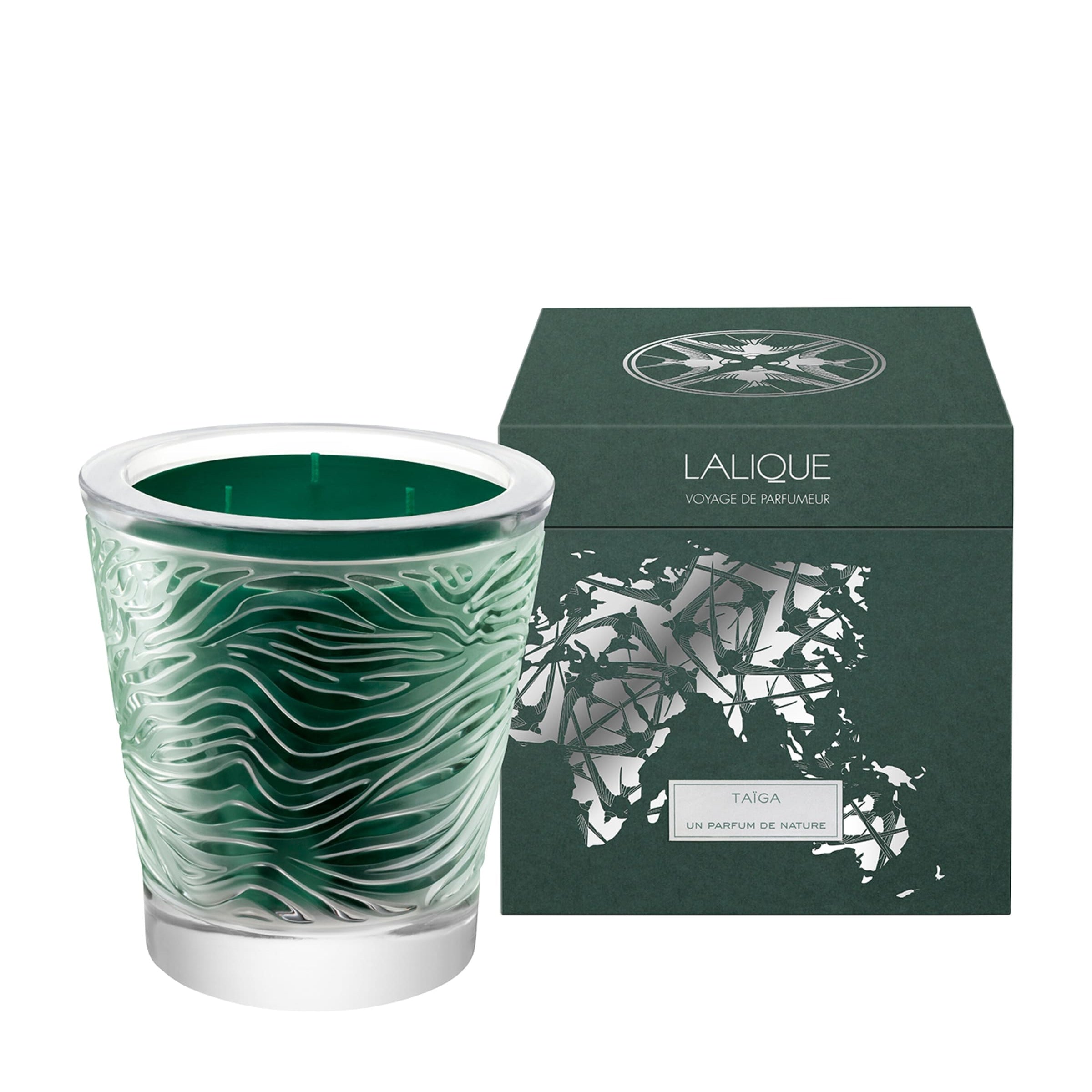 Taiga Voyage Scented Candle (750g)