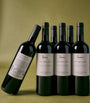 St Emilion Case (12 Bottles) - Bordeaux, France