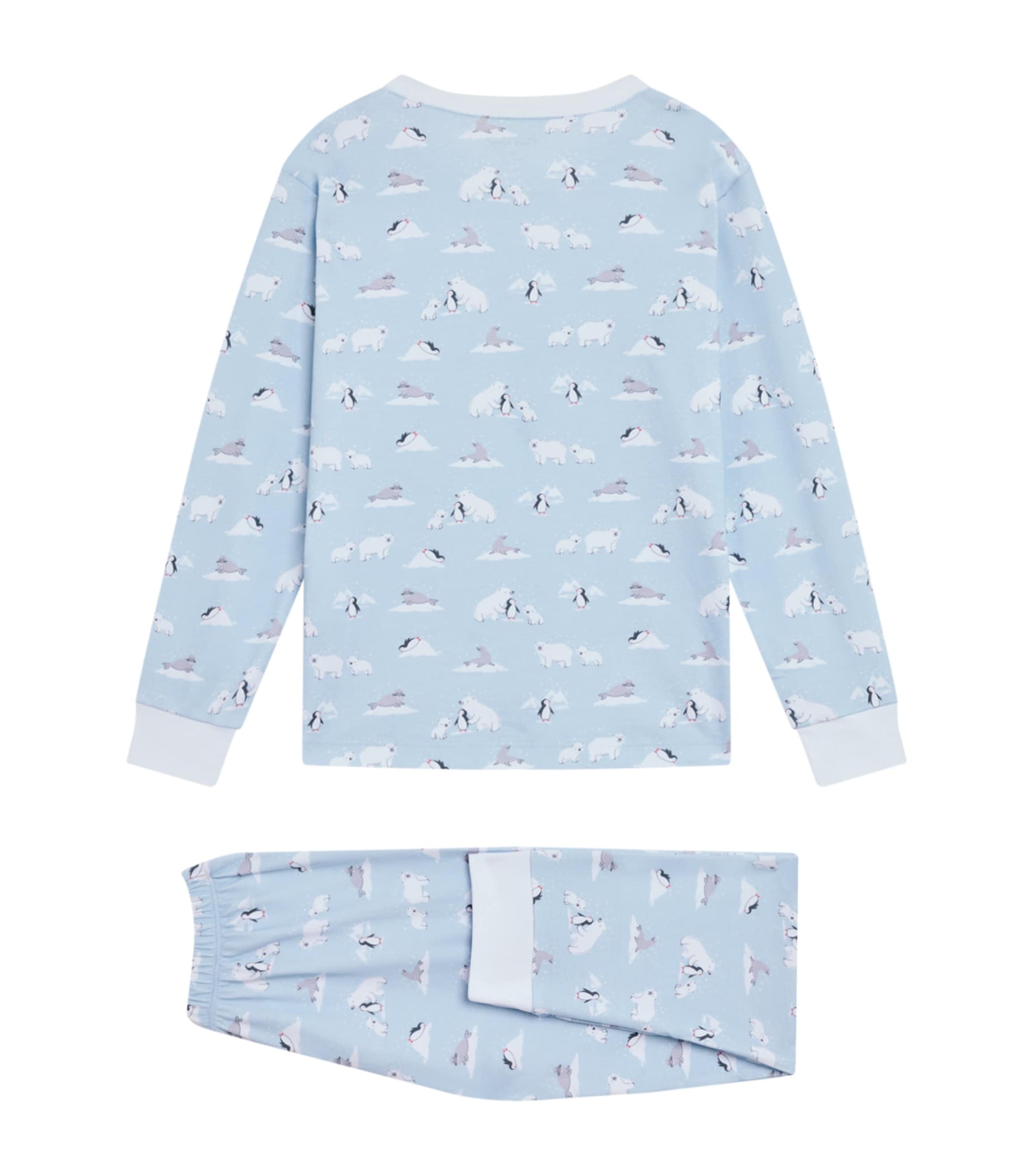Arctic Awe Pyjama Set (2-6 Years)