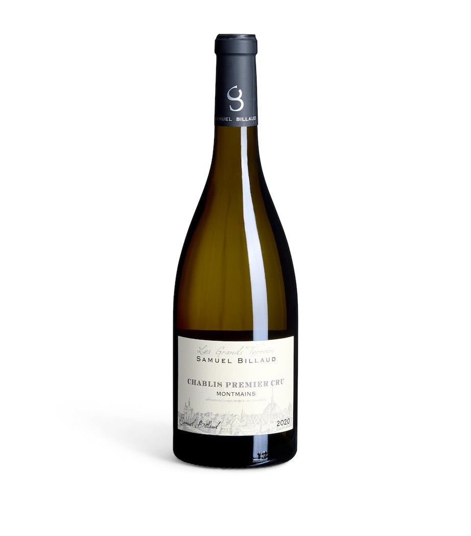 Samuel Billaud Montmains Chablis Premier Cru 2020 (75cl) - Chablis, France