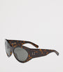 Brown Acetate Tortoiseshell SL 854 Butterfly Sunglasses