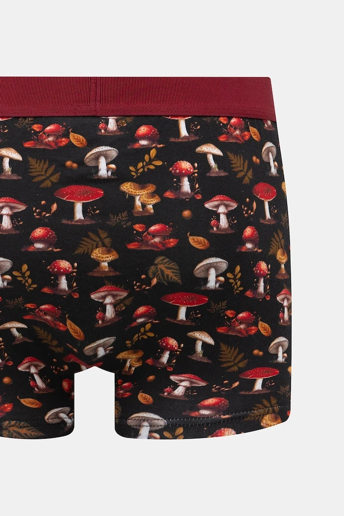 Medicine Boxer (3'lü)