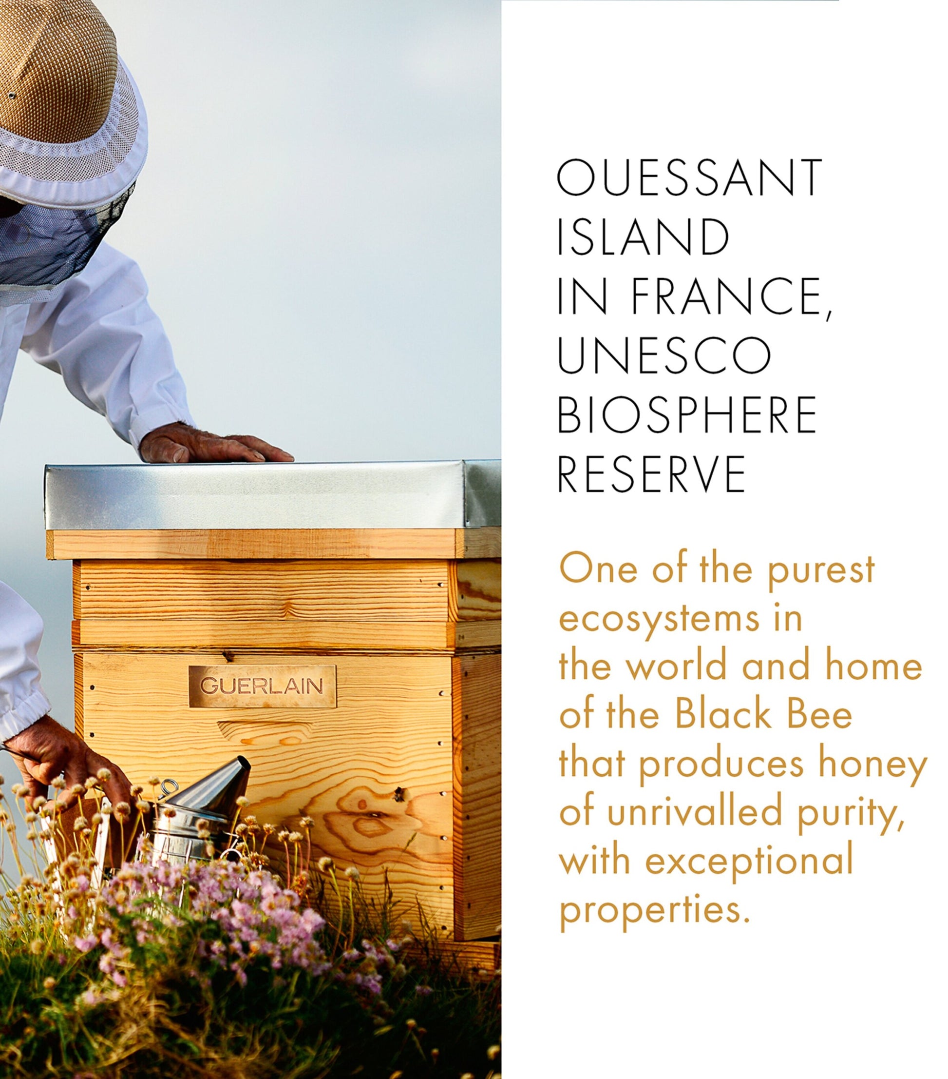 Abeille Royale Repairing & Youth Hand Balm (40ml)