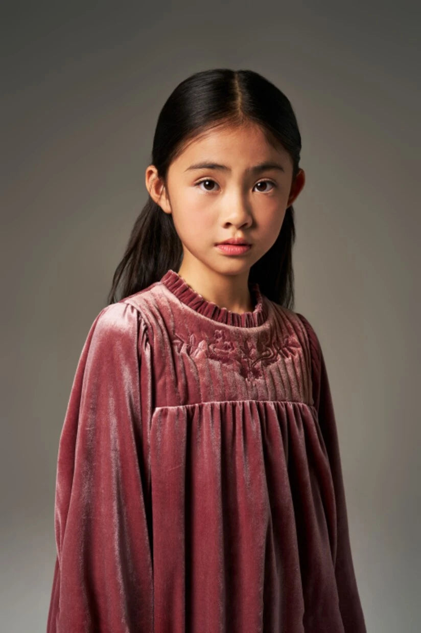 C'era Una Volta - Domitilla embroidered ruffled velvet dress