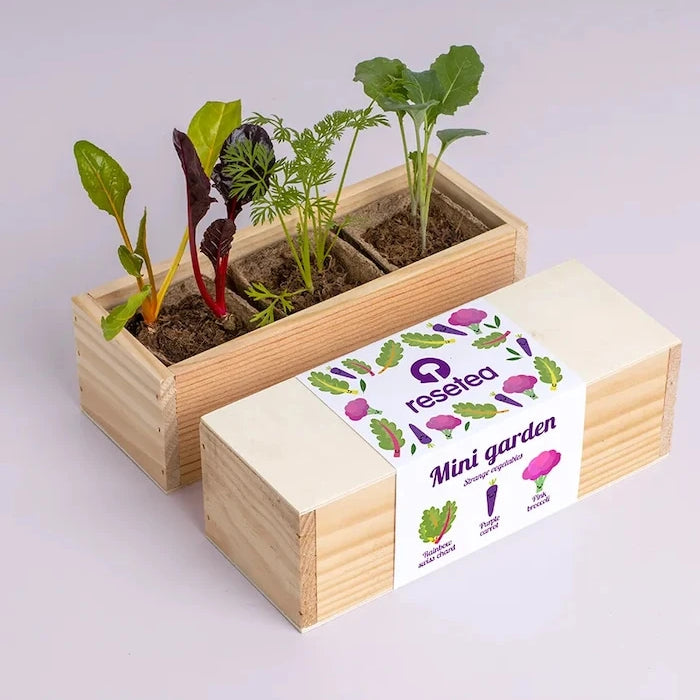 RESETEA Mini garden Strange vegetables Bitki Yetiştirme Seti 9,8 x 8,8 x 8,8 cm