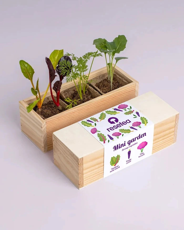 Комплект за отглеждане на растения RESETEA Mini garden Strange vegetables 9,8 x 8,8 x 8,8 cm