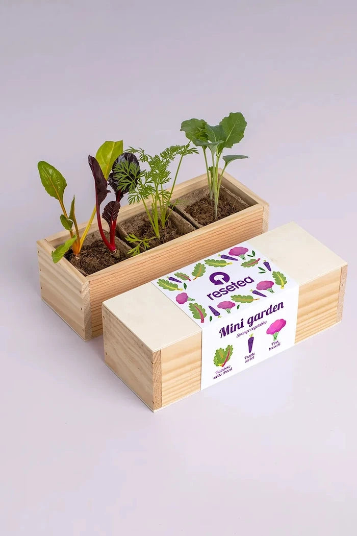 RESETEA Mini garden Strange vegetables Bitki Yetiştirme Seti 9,8 x 8,8 x 8,8 cm