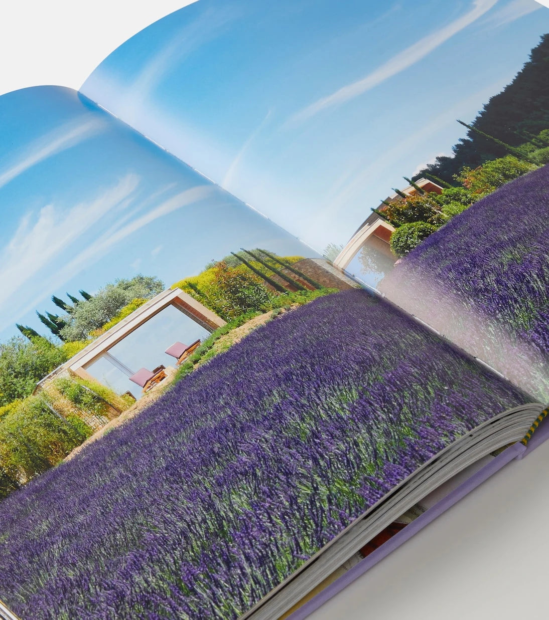 Assouline - Provence Glory book