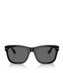 Acetate BC4003S Sunglasses