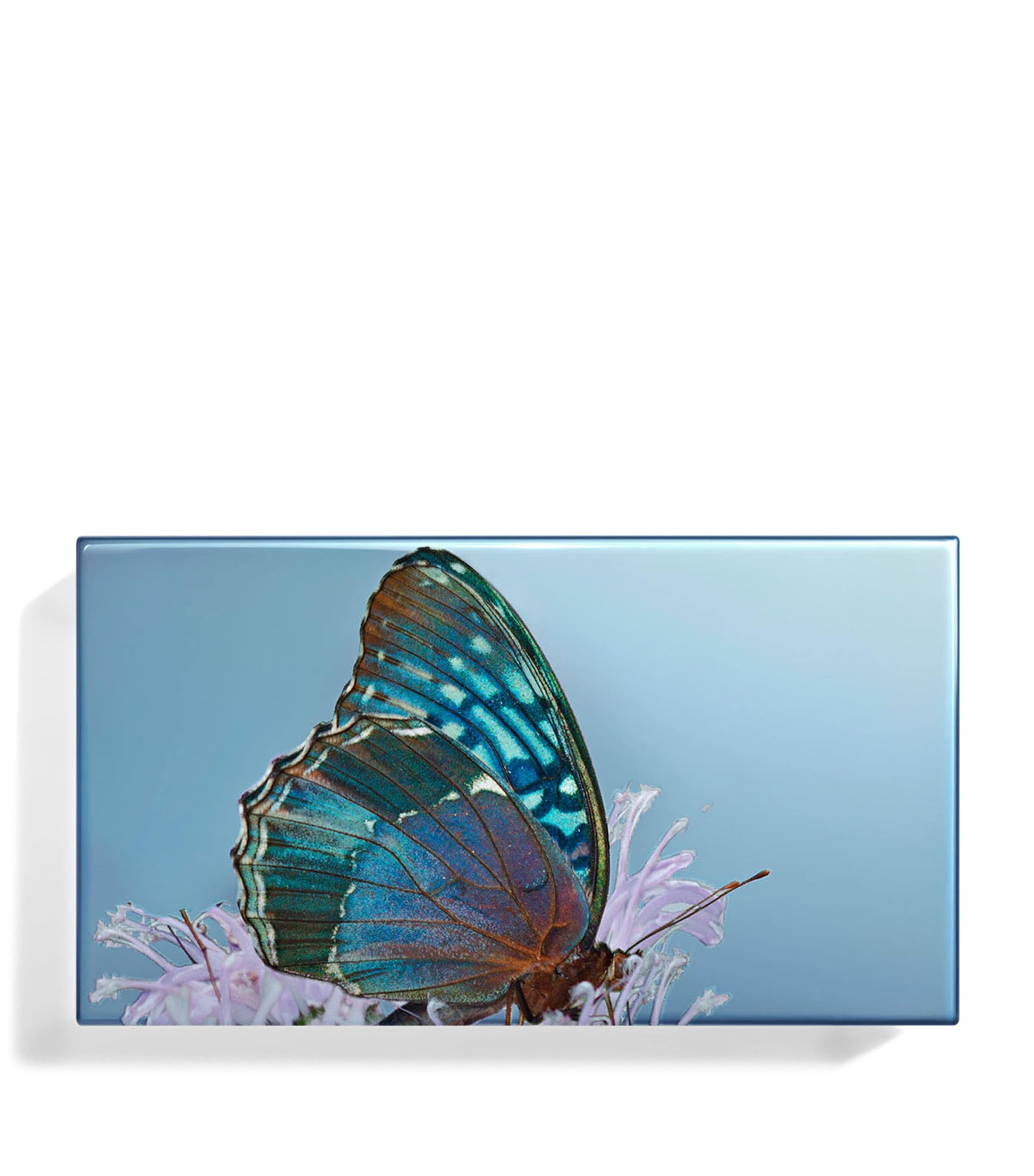 Diana Eyeshadow Trio