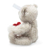 Teddy Bear with Heart (13cm)