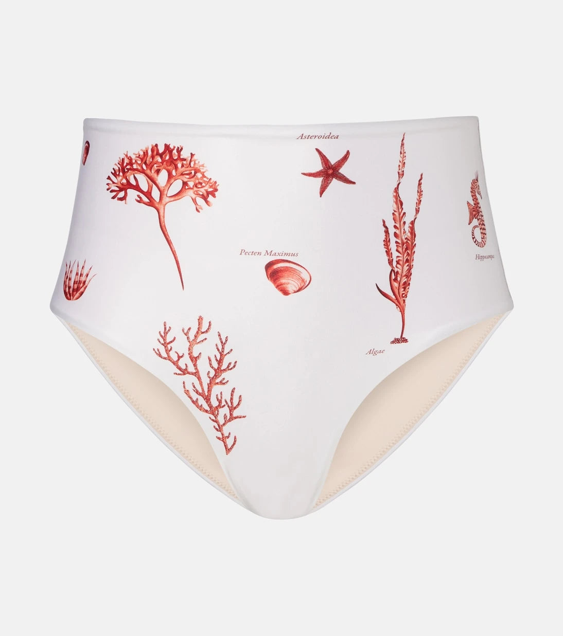 Agua by Agua Bendita - Magdalena printed bikini bottoms