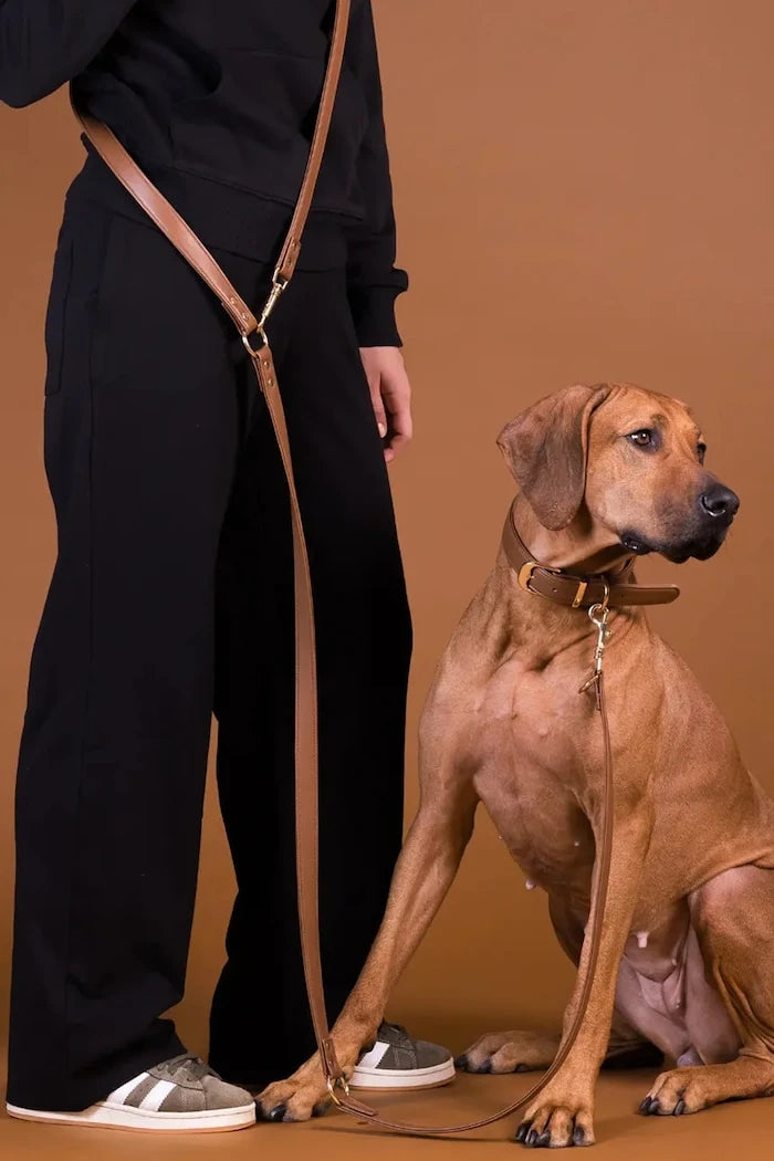 PAIKKA köpek tasması L