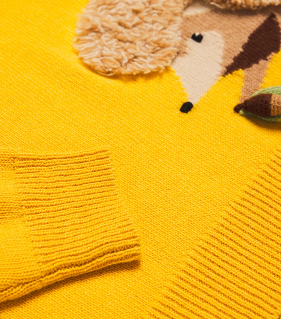 Merino Wool Hedgehog Sweater (4-6 Years)