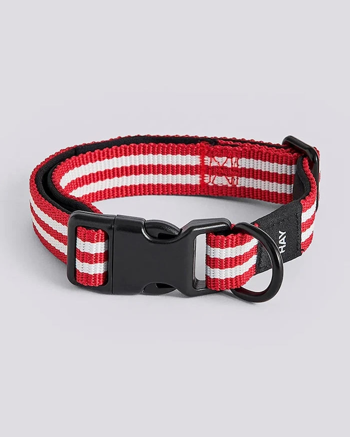 HAY Köpek Tasması S/M