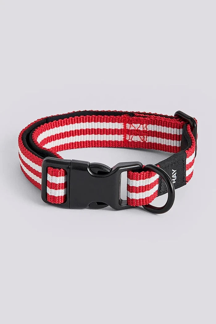HAY Köpek Tasması S/M