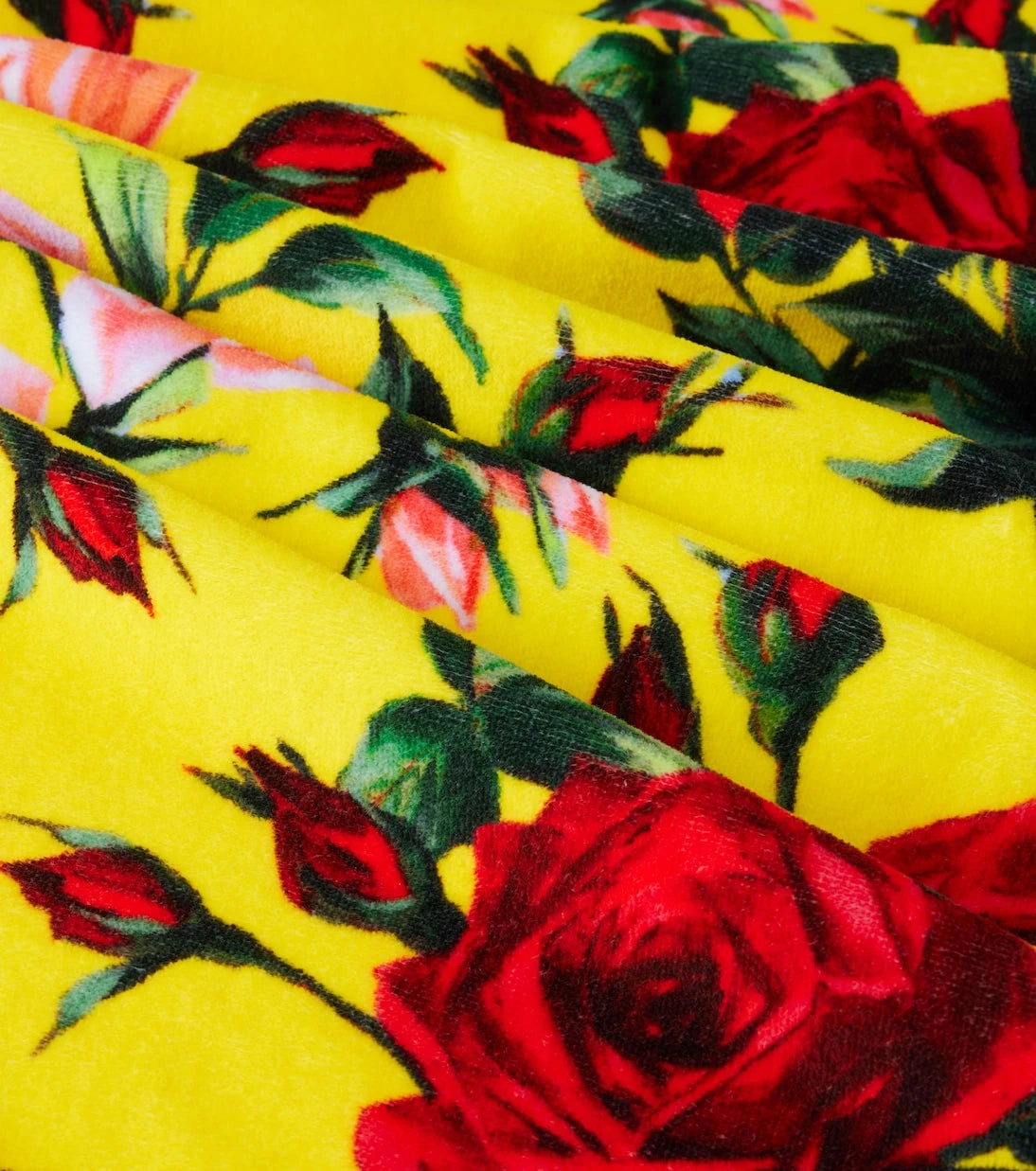 Dolce&Gabbana Casa - Cotton beach towel