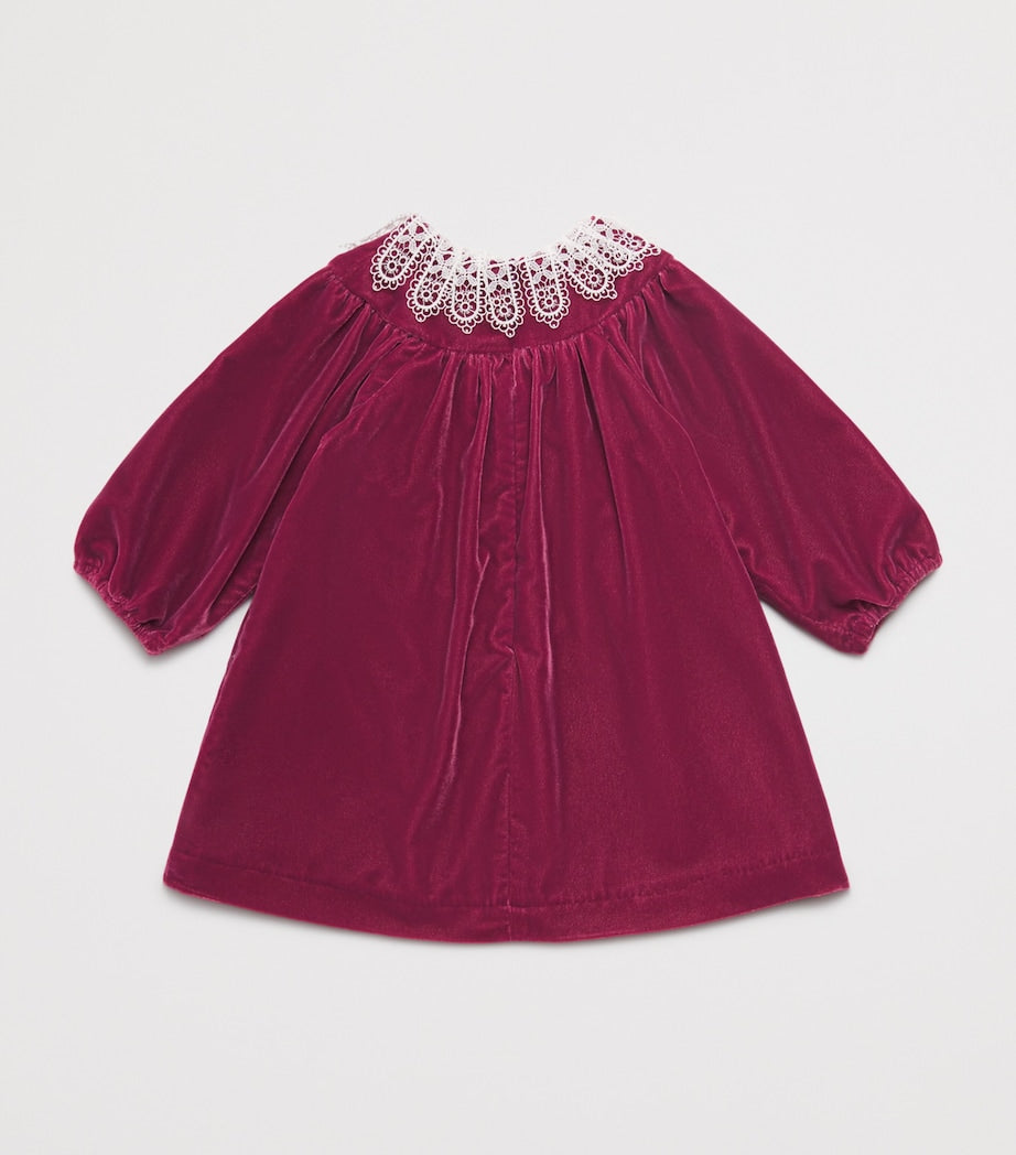 Tartine et Chocolat Pink Velvet Lace-Collar Dress (3 Months-4 Years)