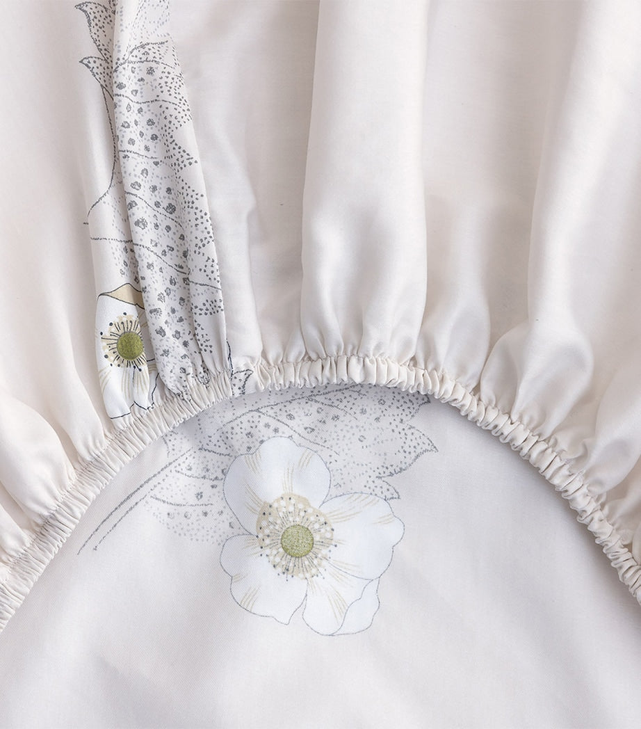 Corolles Super King Fitted Sheet (180cm x 200cm)