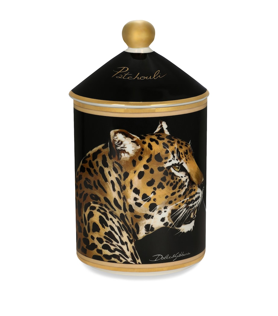 Dolce & Gabbana Casa Porcelain Patchouli Scented Candle (340g)