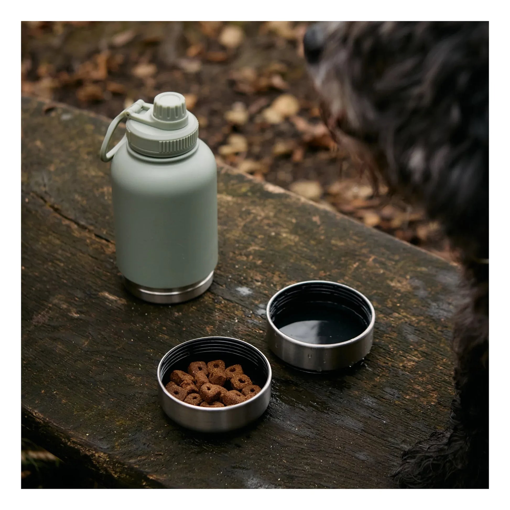 Haps Nordic - Haps Go dog bottle - 900 ml | Mint Green