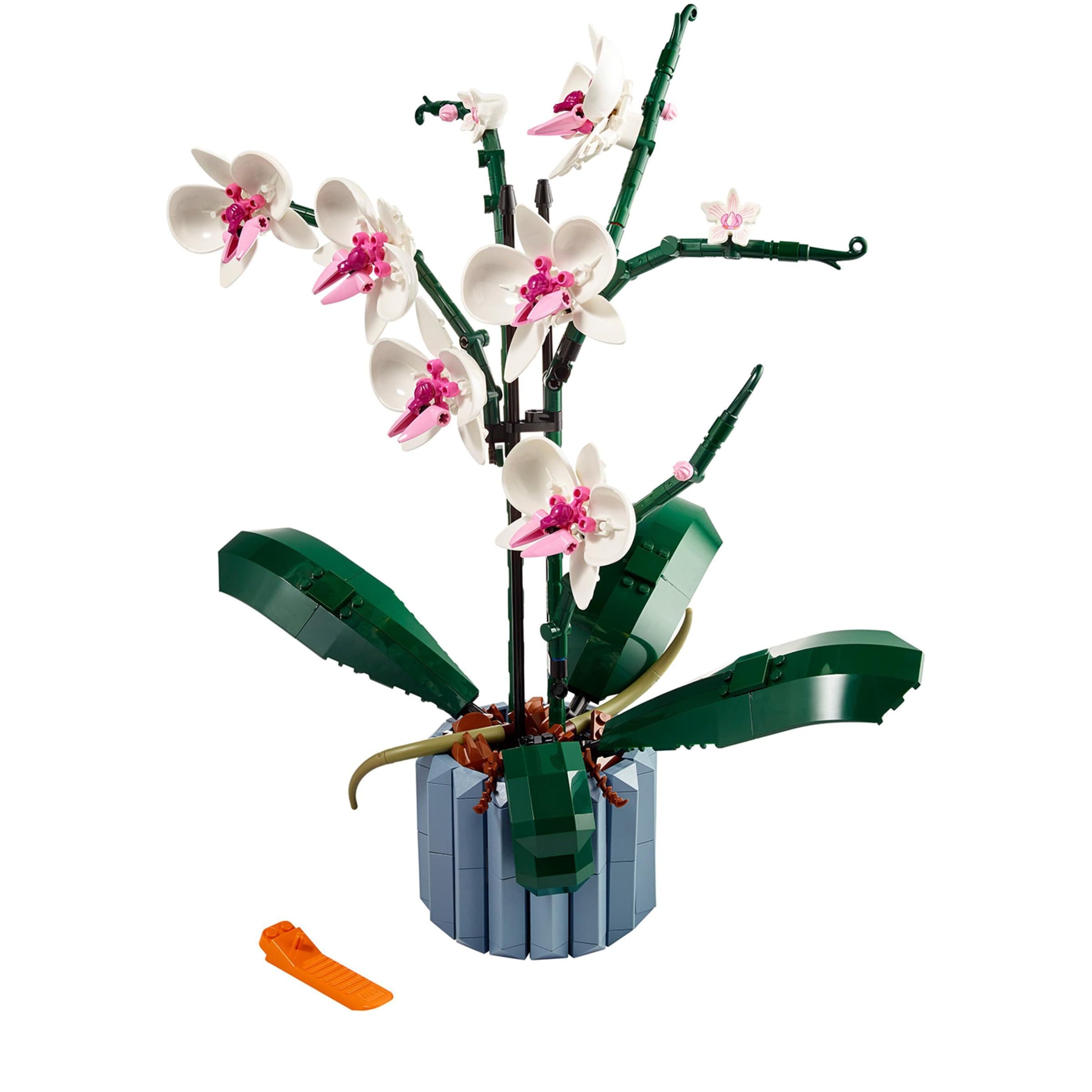 Orchid Display 10311