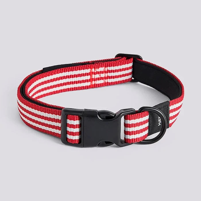 HAY köpek tasması M/L