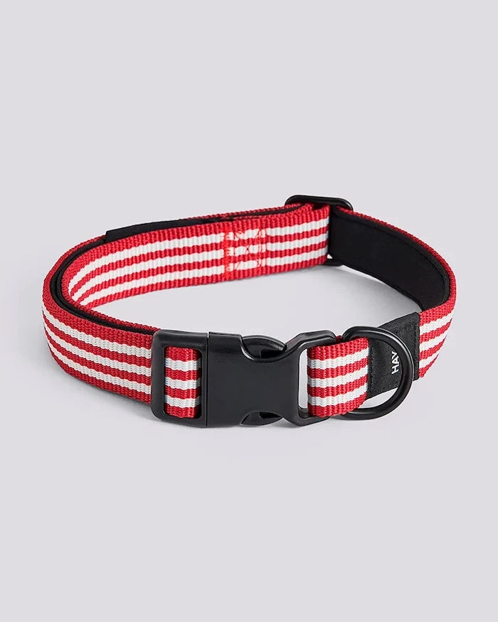 HAY köpek tasması M/L