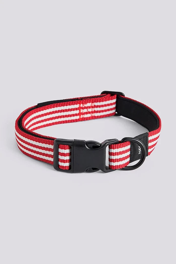 HAY köpek tasması M/L