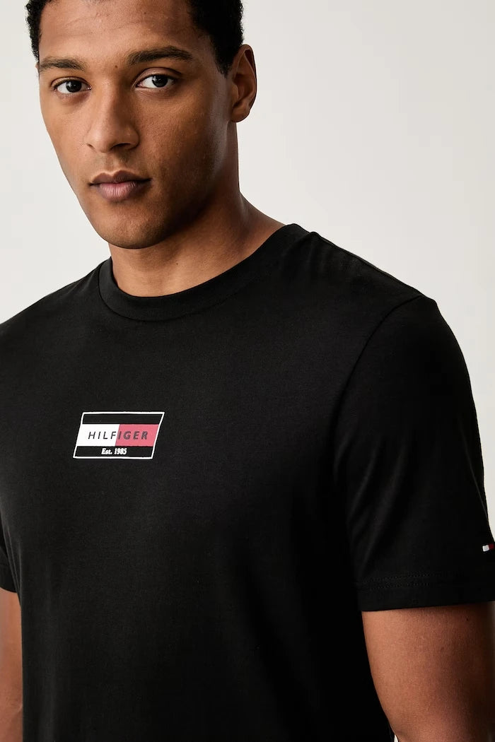 Tommy Hilfiger erkek pamuklu tişört