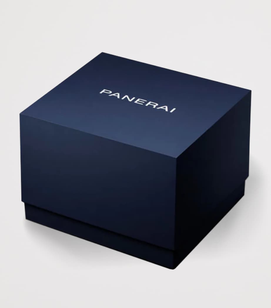 Stainless Steel Luminor Due Luna Watch 38mm