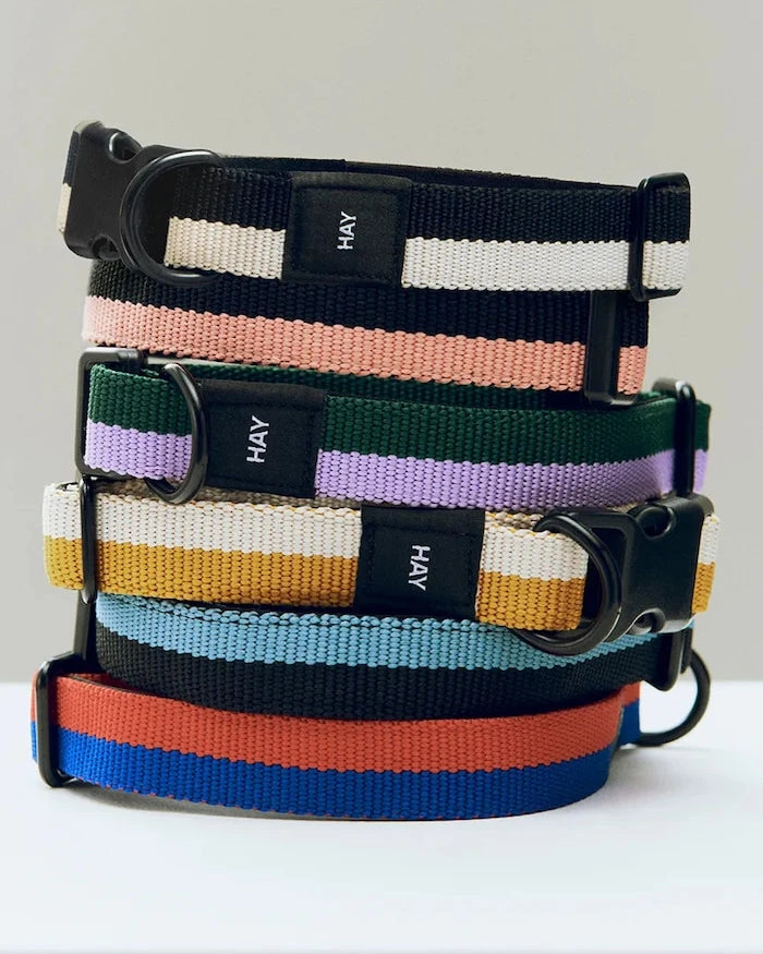 Köpek tasması HAY S/M 2 x 25-45 cm