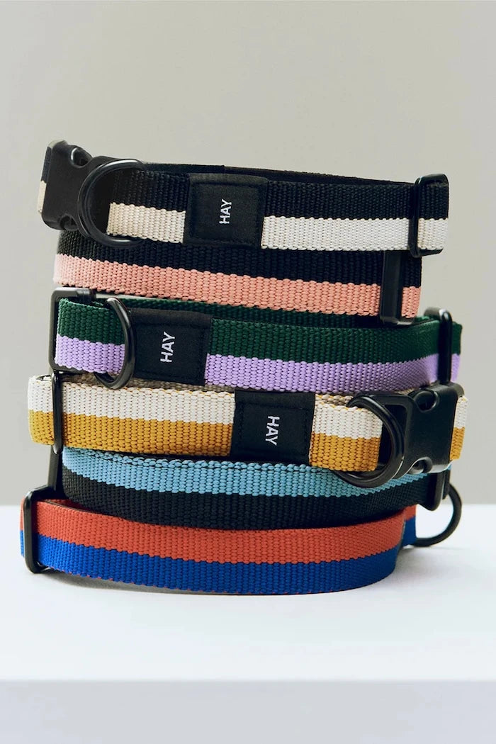 Köpek tasması HAY S/M 2 x 25-45 cm