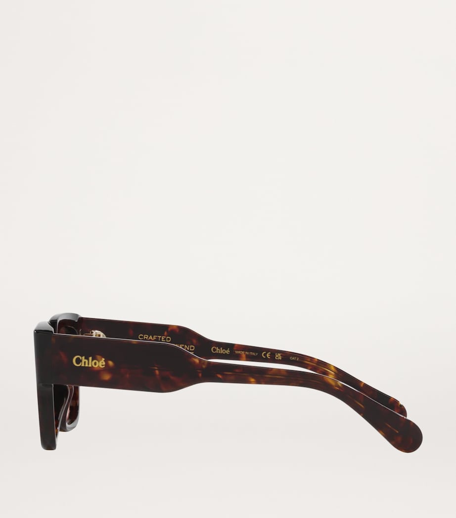 Brown Square Sunglasses