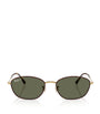 Ray-Ban Brown RB3749 Irregular Sunglasses