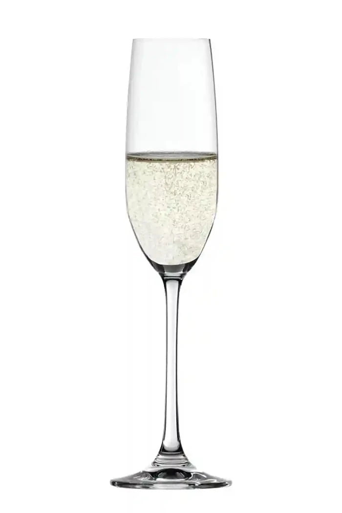 Spiegelau Salute Champagne 210 ml Şampanya Kadehi Seti (4 Parça)
