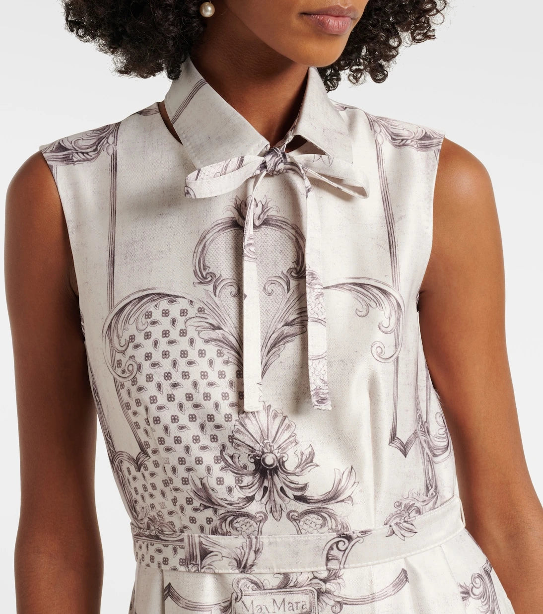 Max Mara - Ambuto printed midi dress