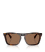 Acetate Wayfarer Sunglasses