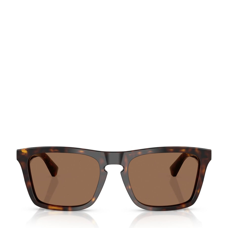 Acetate Wayfarer Sunglasses