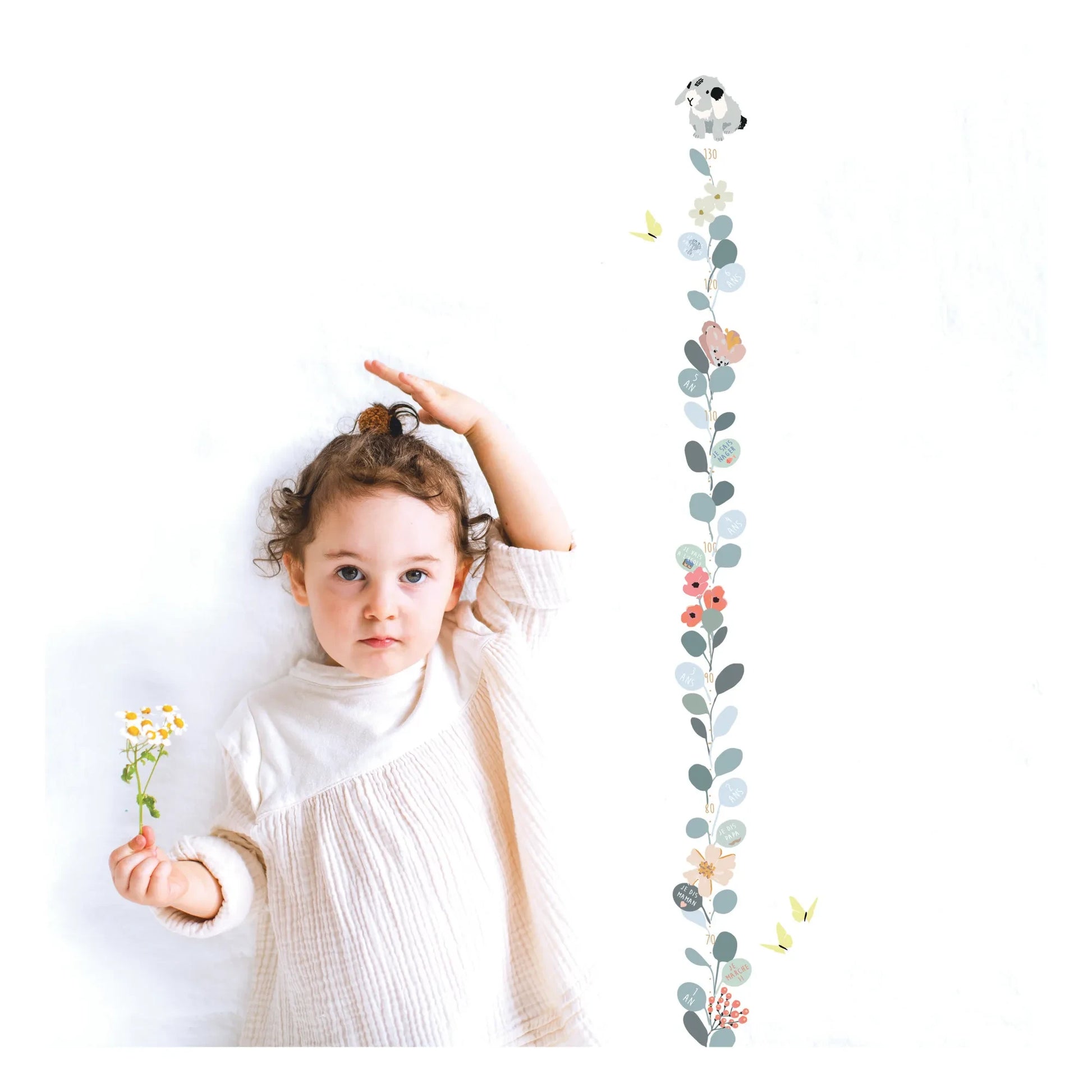 MIMI'lou - Nils Height Growth Chart - EN