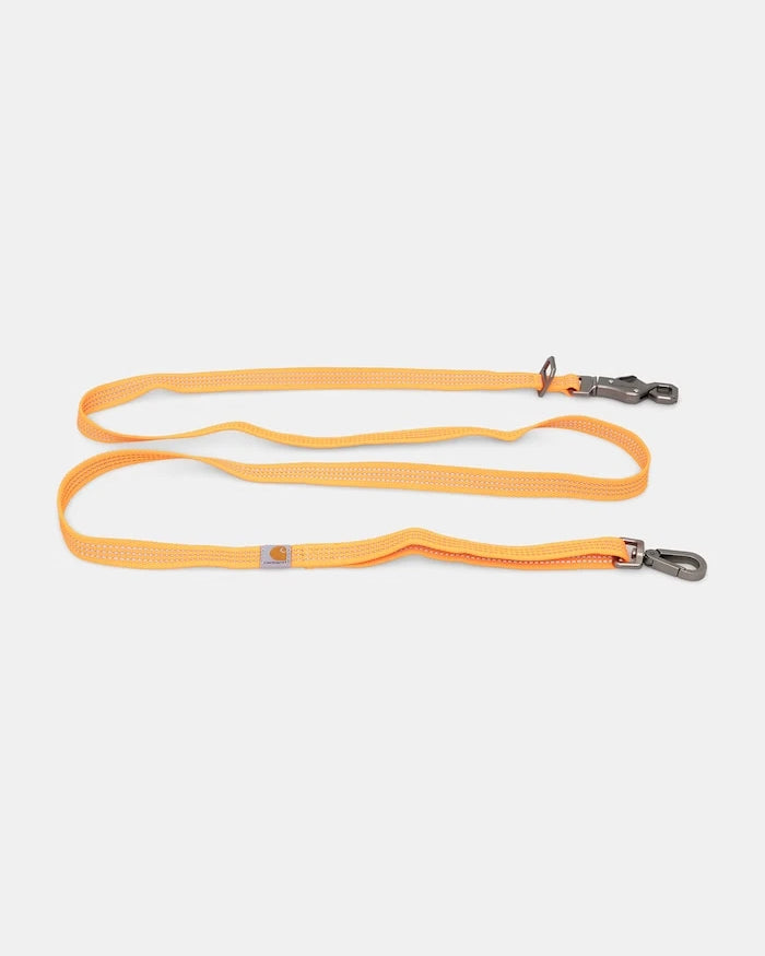 Carhartt WIP köpek tasması S