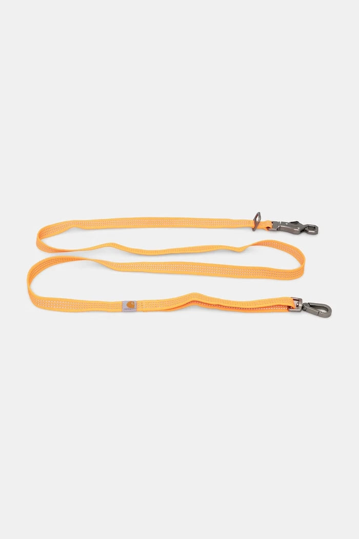 Carhartt WIP köpek tasması S